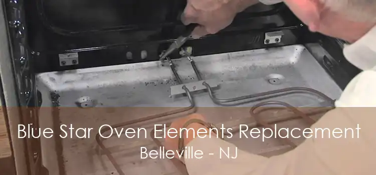 Blue Star Oven Elements Replacement Belleville - NJ