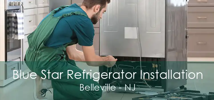 Blue Star Refrigerator Installation Belleville - NJ