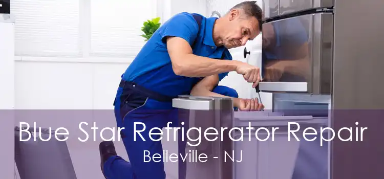 Blue Star Refrigerator Repair Belleville - NJ