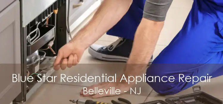 Blue Star Residential Appliance Repair Belleville - NJ