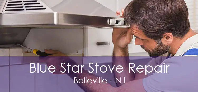 Blue Star Stove Repair Belleville - NJ