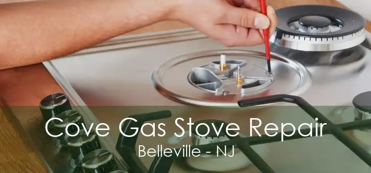 Cove Gas Stove Repair Belleville - NJ