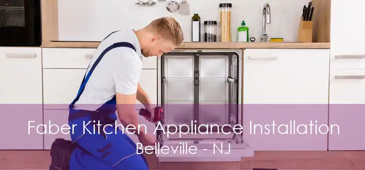 Faber Kitchen Appliance Installation Belleville - NJ