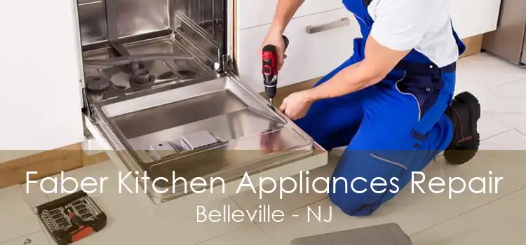 Faber Kitchen Appliances Repair Belleville - NJ