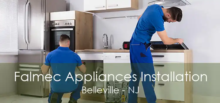 Falmec Appliances Installation Belleville - NJ