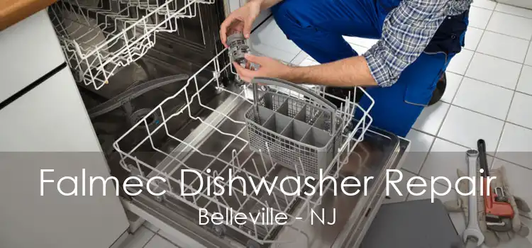 Falmec Dishwasher Repair Belleville - NJ