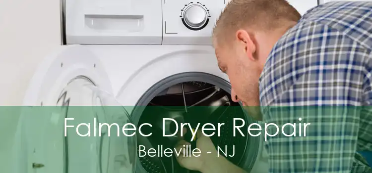 Falmec Dryer Repair Belleville - NJ