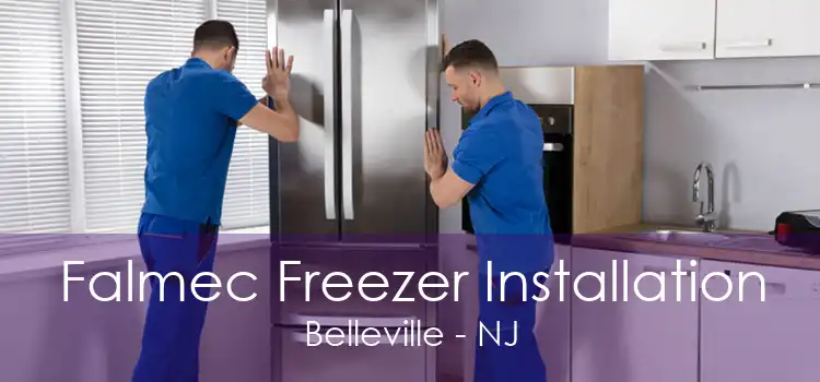 Falmec Freezer Installation Belleville - NJ