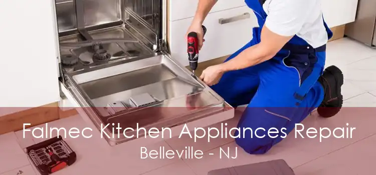 Falmec Kitchen Appliances Repair Belleville - NJ