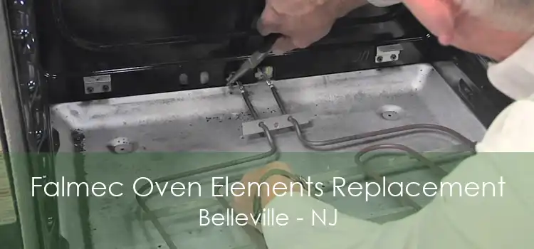 Falmec Oven Elements Replacement Belleville - NJ