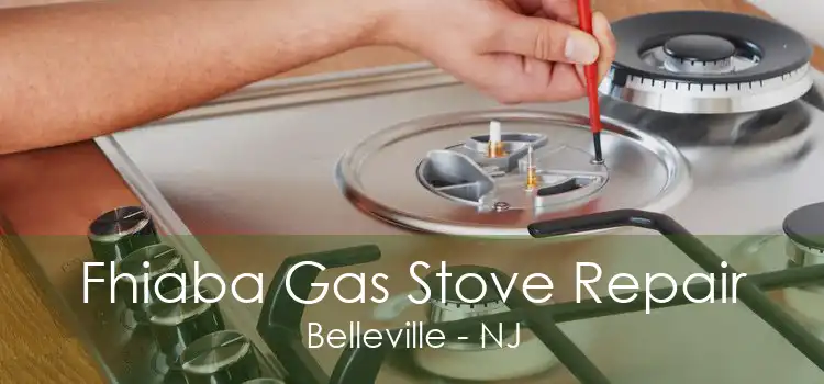 Fhiaba Gas Stove Repair Belleville - NJ