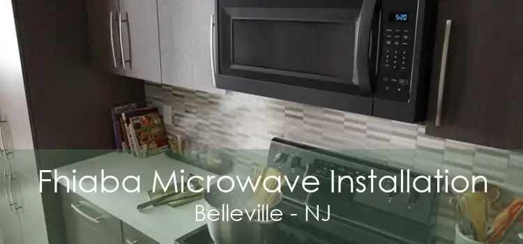 Fhiaba Microwave Installation Belleville - NJ