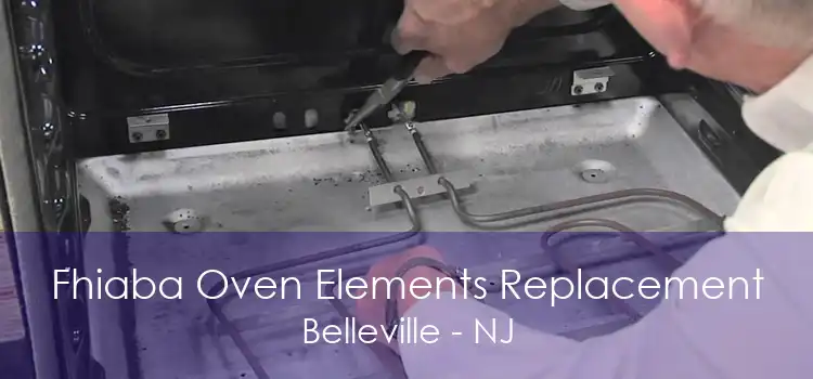 Fhiaba Oven Elements Replacement Belleville - NJ