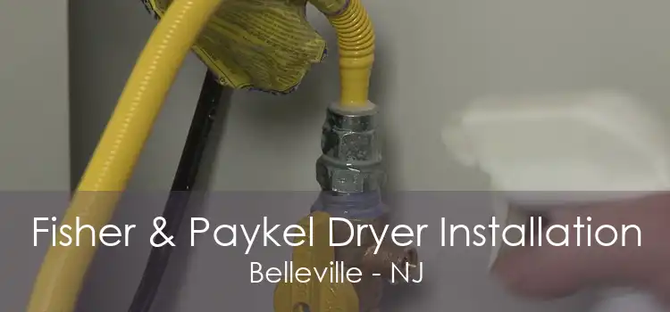 Fisher & Paykel Dryer Installation Belleville - NJ