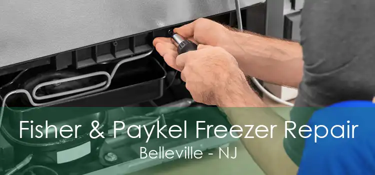 Fisher & Paykel Freezer Repair Belleville - NJ