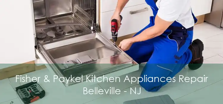 Fisher & Paykel Kitchen Appliances Repair Belleville - NJ