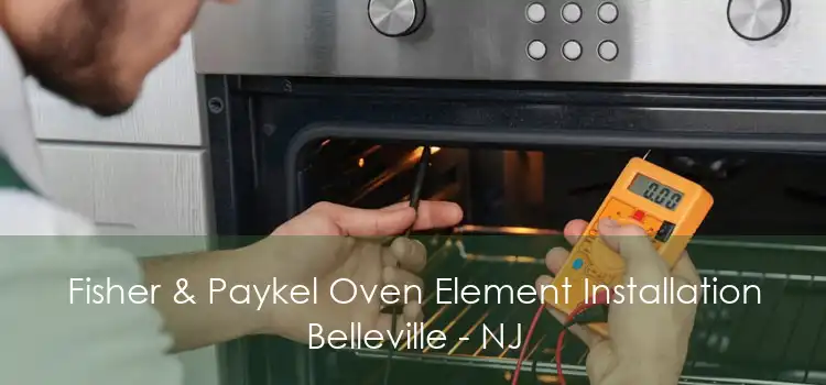 Fisher & Paykel Oven Element Installation Belleville - NJ