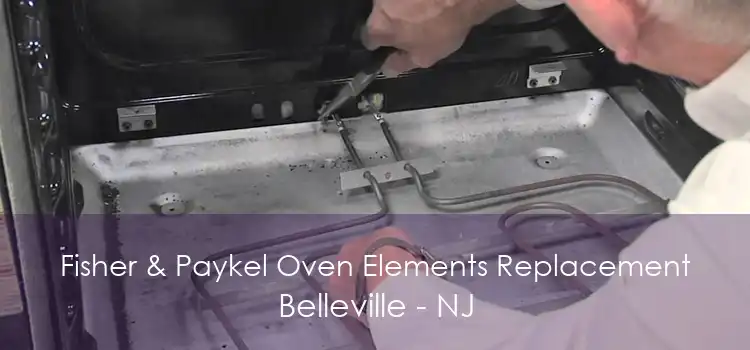 Fisher & Paykel Oven Elements Replacement Belleville - NJ