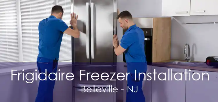 Frigidaire Freezer Installation Belleville - NJ