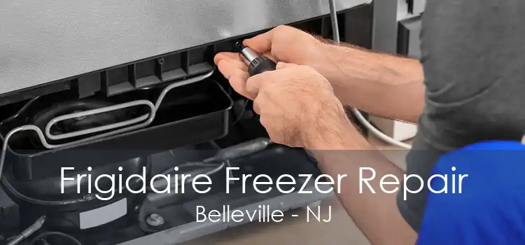 Frigidaire Freezer Repair Belleville - NJ