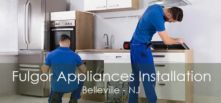 Fulgor Appliances Installation Belleville - NJ