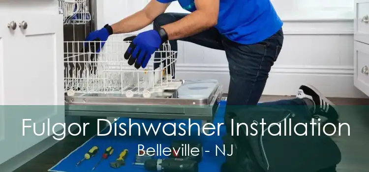 Fulgor Dishwasher Installation Belleville - NJ