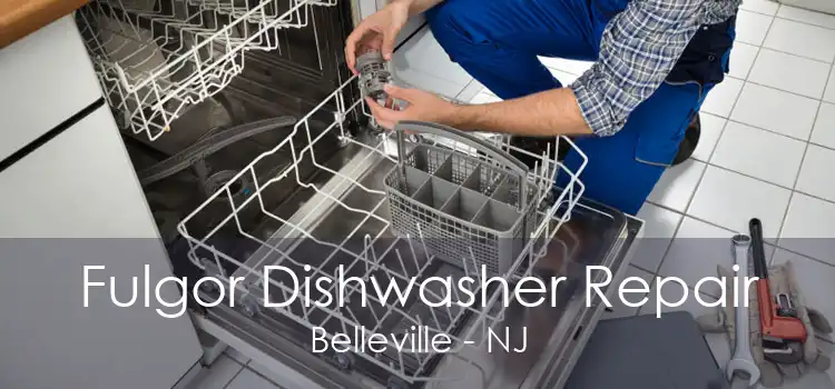 Fulgor Dishwasher Repair Belleville - NJ