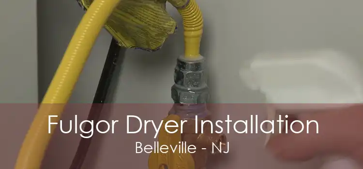 Fulgor Dryer Installation Belleville - NJ