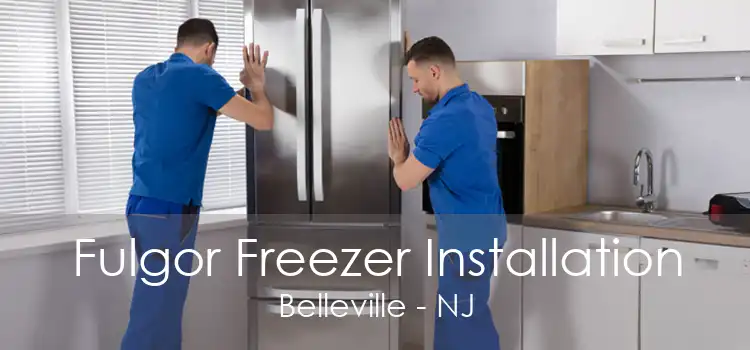 Fulgor Freezer Installation Belleville - NJ