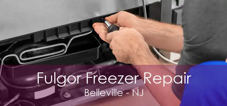 Fulgor Freezer Repair Belleville - NJ