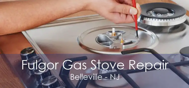 Fulgor Gas Stove Repair Belleville - NJ