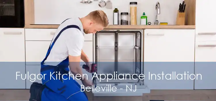 Fulgor Kitchen Appliance Installation Belleville - NJ