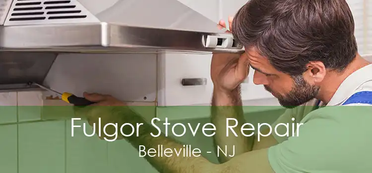 Fulgor Stove Repair Belleville - NJ