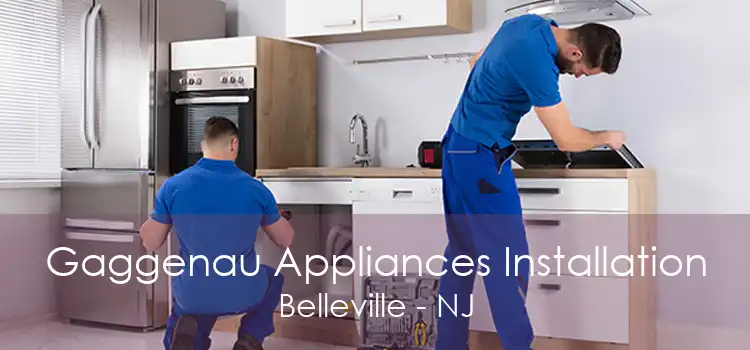 Gaggenau Appliances Installation Belleville - NJ