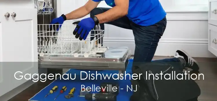 Gaggenau Dishwasher Installation Belleville - NJ