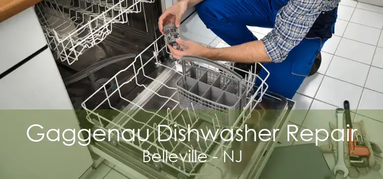 Gaggenau Dishwasher Repair Belleville - NJ