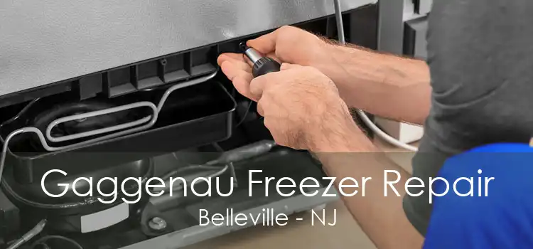 Gaggenau Freezer Repair Belleville - NJ