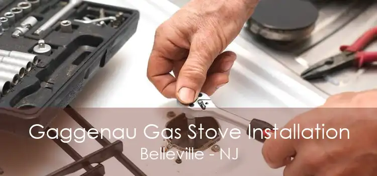 Gaggenau Gas Stove Installation Belleville - NJ