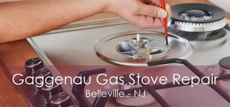 Gaggenau Gas Stove Repair Belleville - NJ