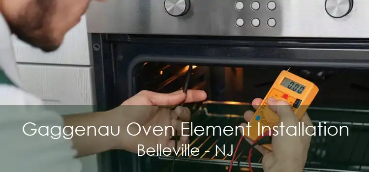 Gaggenau Oven Element Installation Belleville - NJ