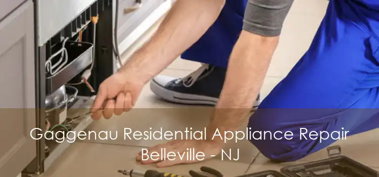 Gaggenau Residential Appliance Repair Belleville - NJ