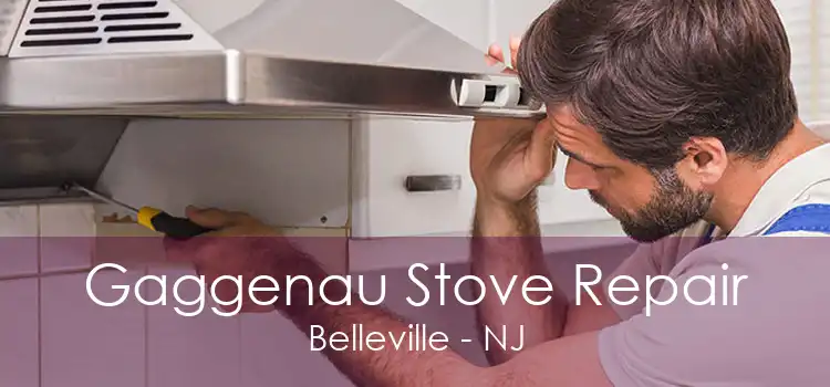 Gaggenau Stove Repair Belleville - NJ