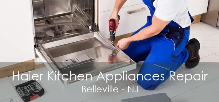 Haier Kitchen Appliances Repair Belleville - NJ