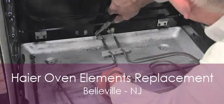 Haier Oven Elements Replacement Belleville - NJ