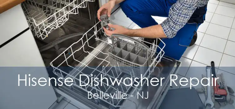 Hisense Dishwasher Repair Belleville - NJ