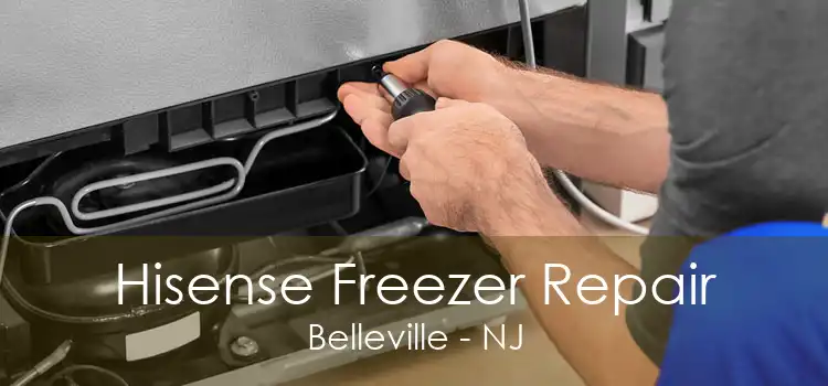 Hisense Freezer Repair Belleville - NJ