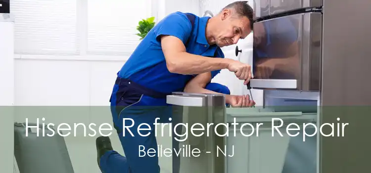 Hisense Refrigerator Repair Belleville - NJ