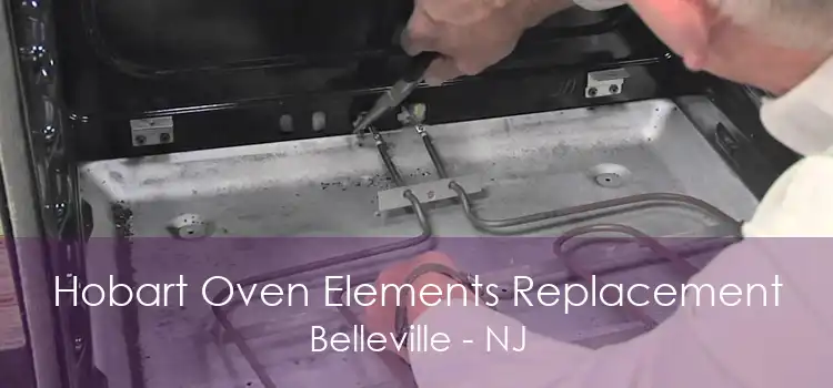 Hobart Oven Elements Replacement Belleville - NJ