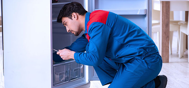 Freezer Repair Services in Belleville, New Jersey