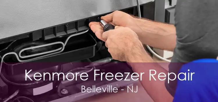 Kenmore Freezer Repair Belleville - NJ